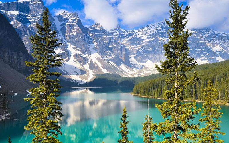 怎樣拿雷竞技游戏官网回國呢？雷竞技游戏官网持有者的回國指南