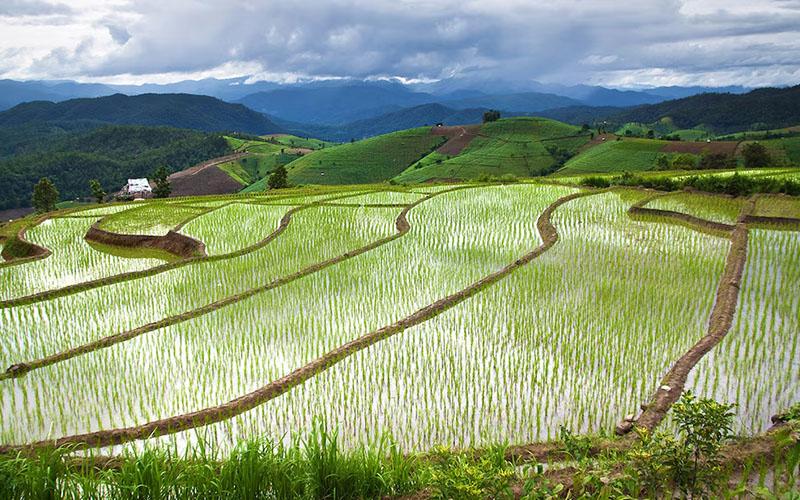 土耳其移民美國好不好?全麵解析與利弊分析