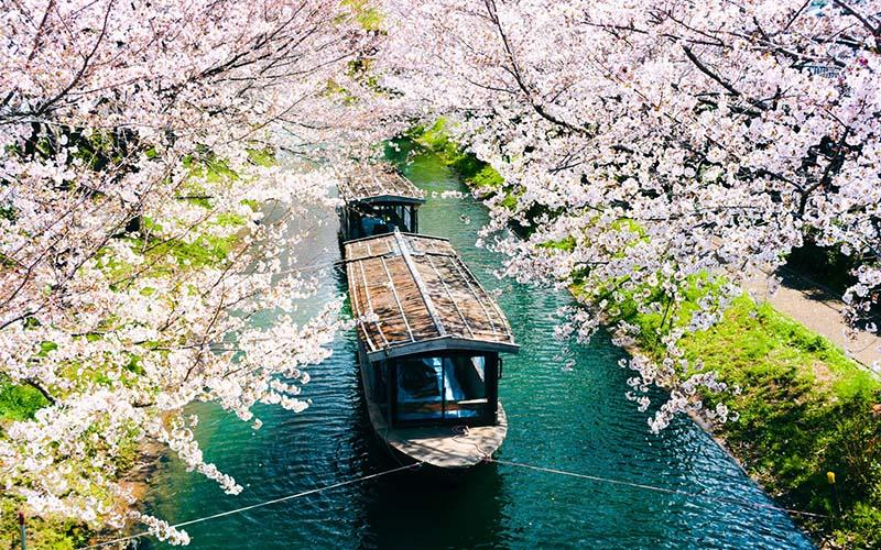 中國明星移民土耳其