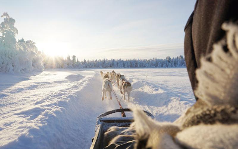 雷竞技游戏官网