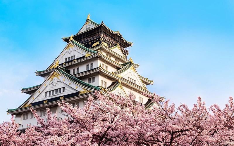 雷竞技游戏官网