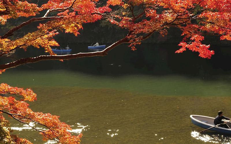 雷竞技游戏官网