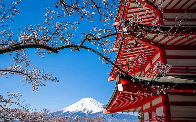 雷竞技游戏官网