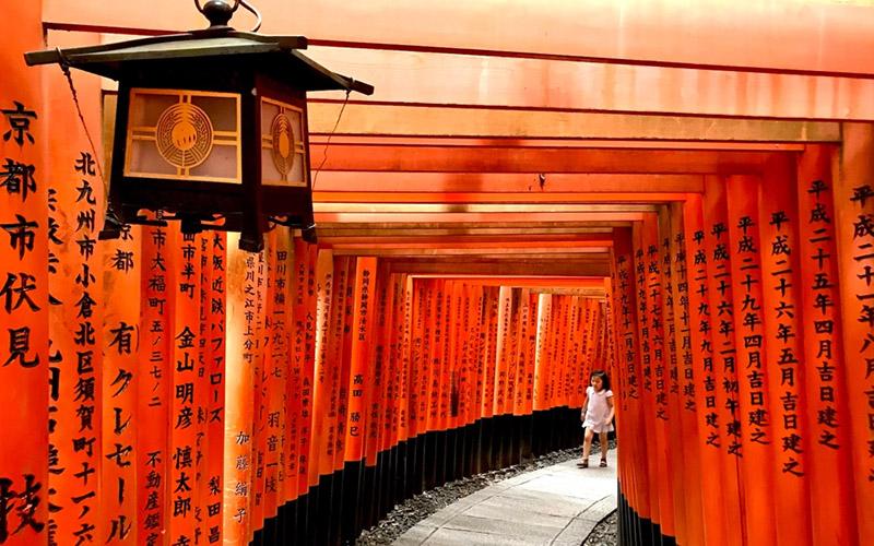 雷竞技游戏官网