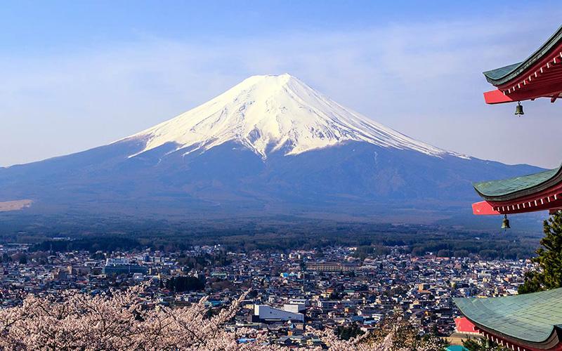 南昌雷竞技游戏官网