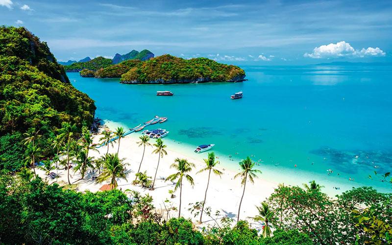 雷竞技游戏官网